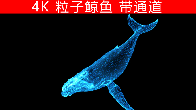 粒子鲸鱼-透明通道