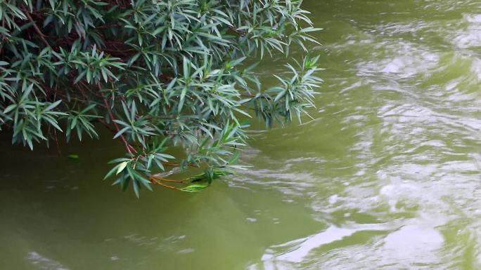 水闸出水口