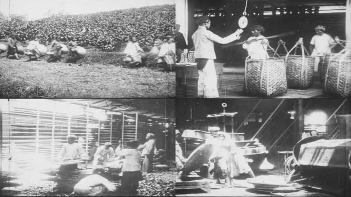 上世纪20年代30年代茶叶厂
