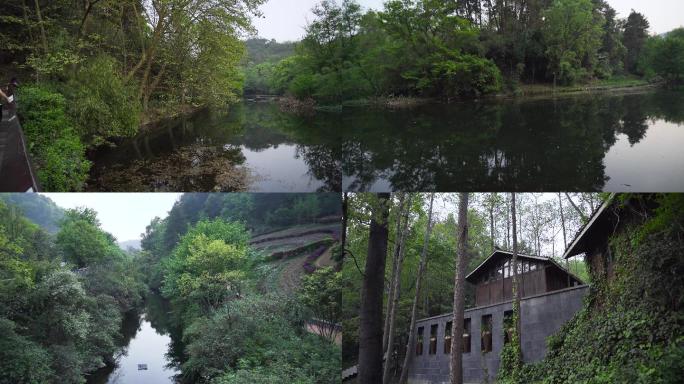 公园绿化风景