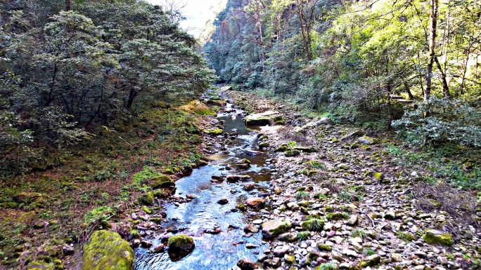 航拍金鞭溪山涧涓涓溪流