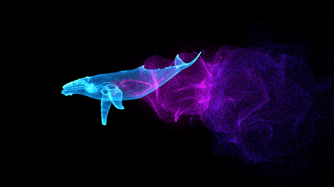 粒子鲸鱼-alpha通道