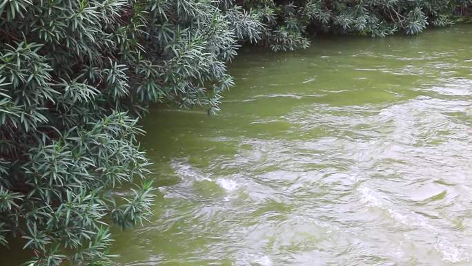 水闸出水口