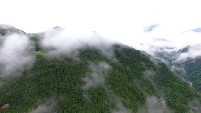 大山雨后初晴的清新景色009