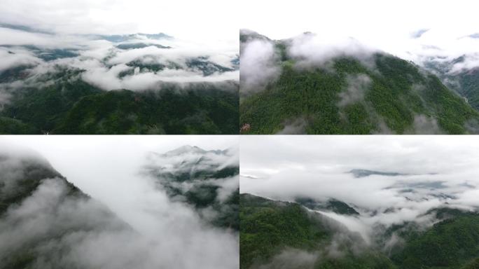 大山雨后初晴的清新景色009