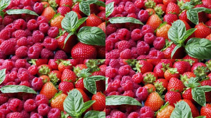 4K草莓树莓覆盆子果园丰收