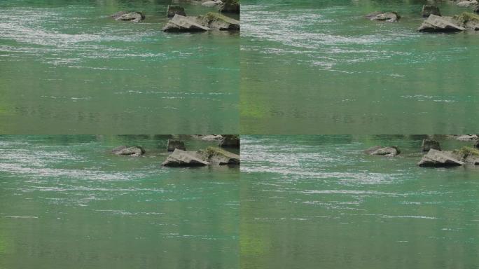 春天小河流水潺潺18