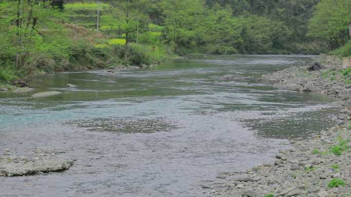 4K春天小河流水潺潺16