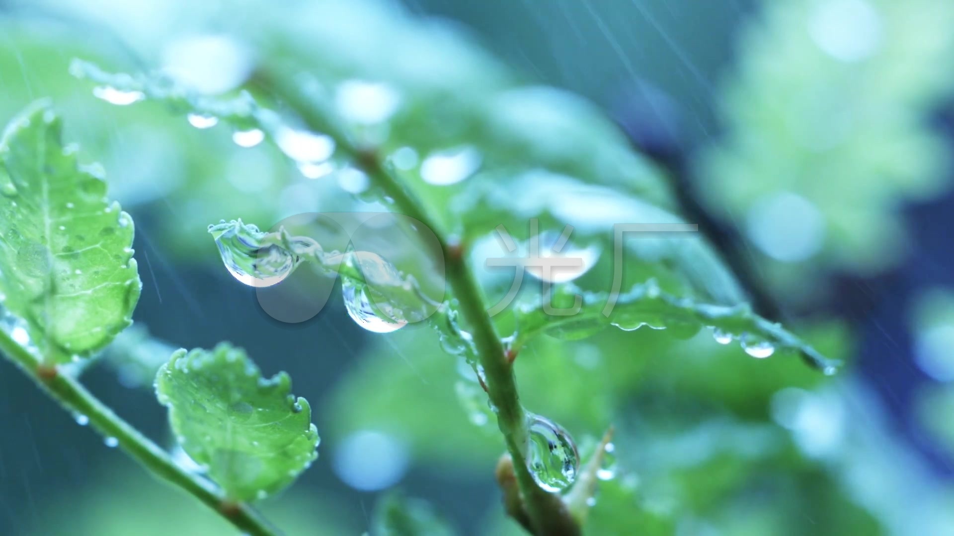 美丽江苏·每日一景｜扬州瘦西湖：人间春雨足 万物生光辉_中国江苏网