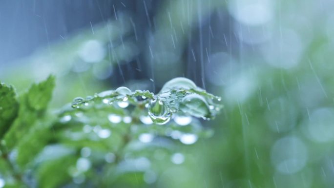 唯美春雨下雨雨天空镜头