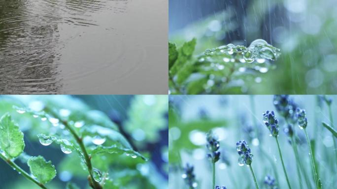 唯美春雨下雨雨天空镜头