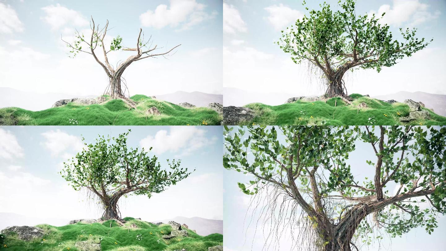 原创树藤蔓生长C4D动画三维场景动画工程