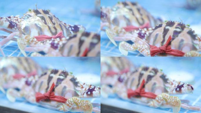 海鲜水产螃蟹海鲜市场红花蟹