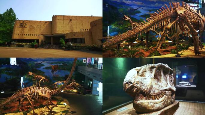 4K恐龙博物馆