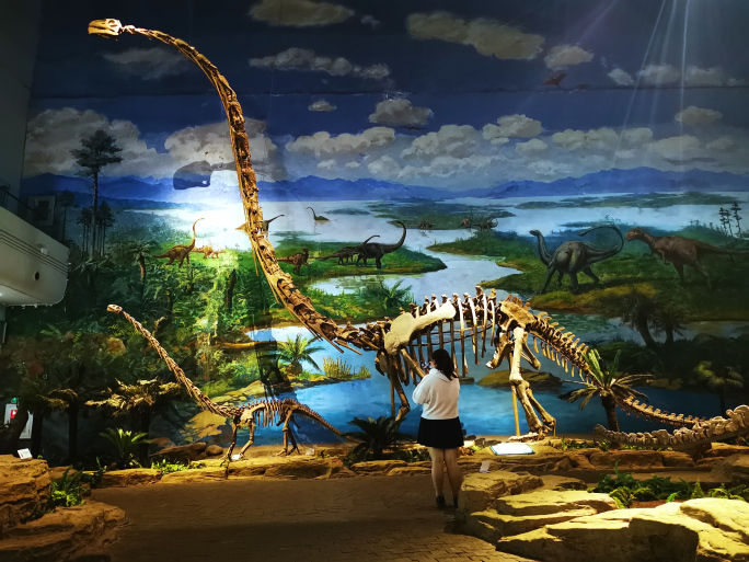4K恐龙博物馆高品质照片合集