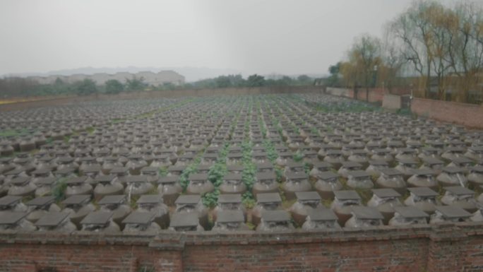 白酒酒窖基地实拍素材