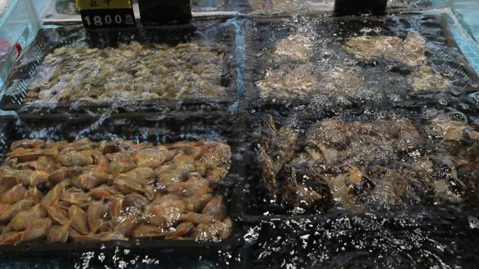 海鲜水产龙虾海鲜市场蛏子蛤蜊