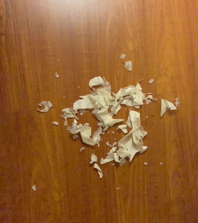 【4k实拍】地板掉落皮屑
