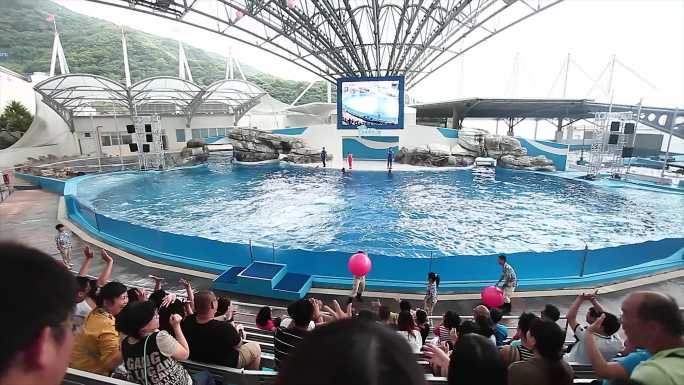 台湾花莲远雄海洋公园海豚表演