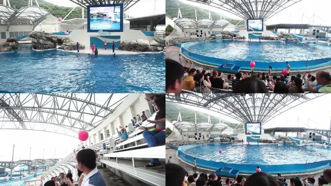 台湾花莲远雄海洋公园海豚表演