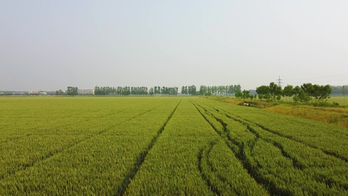 田地航拍