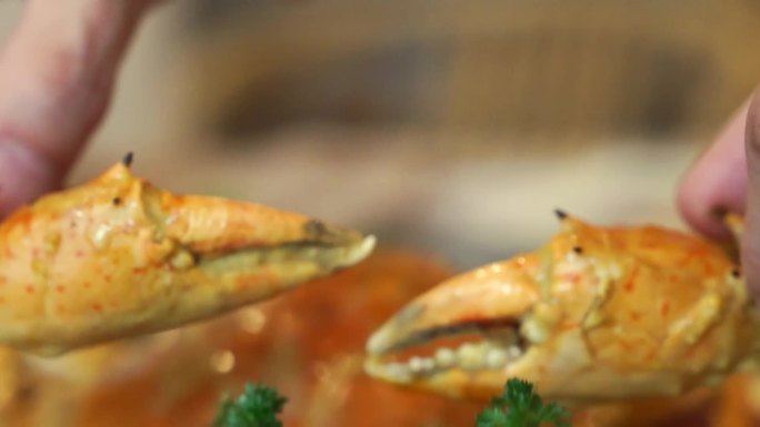 （版权）东南亚美食：东南亚菜虾蟹虾刺身