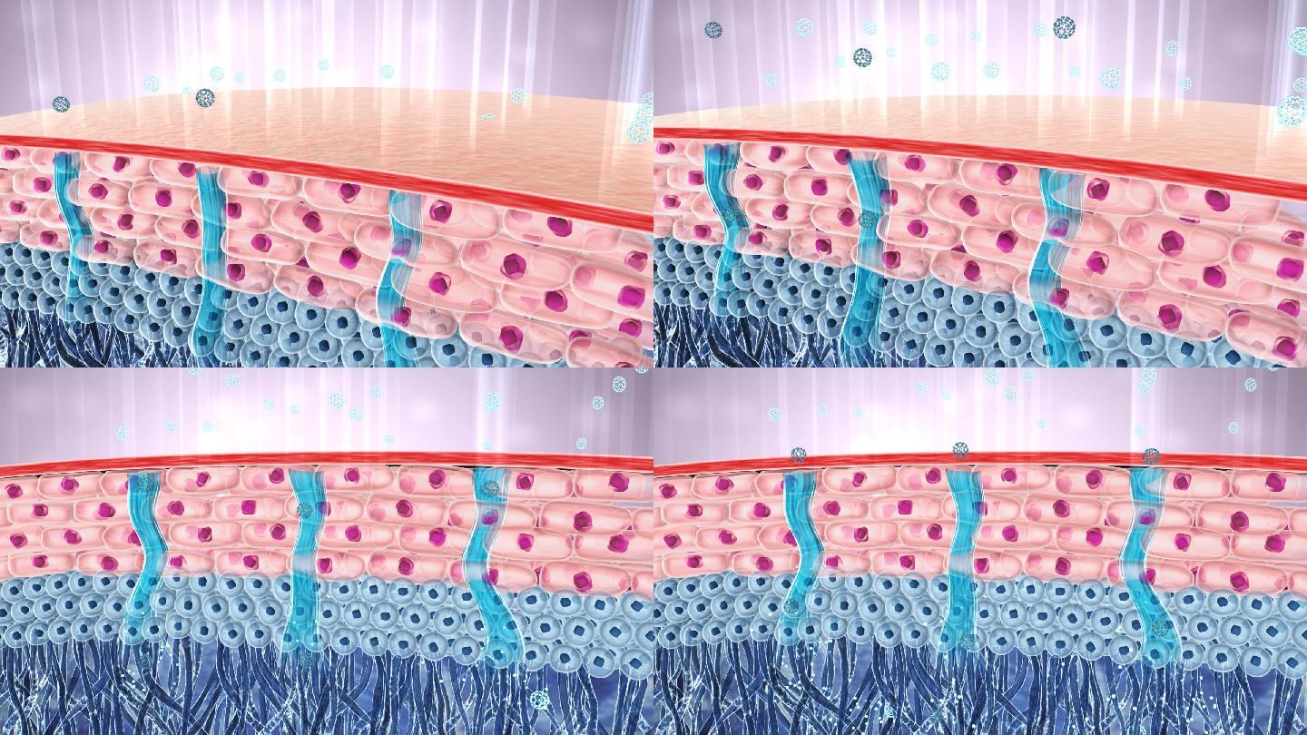 精华因子渗入皮肤吸收