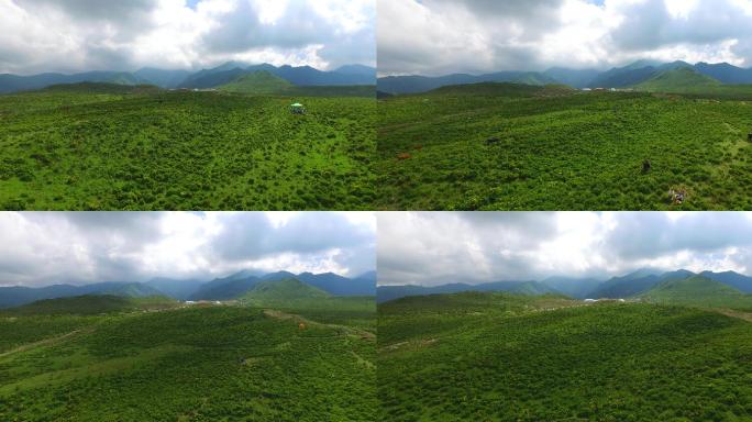 河西走廊甘肃积石山县黄草坪风景