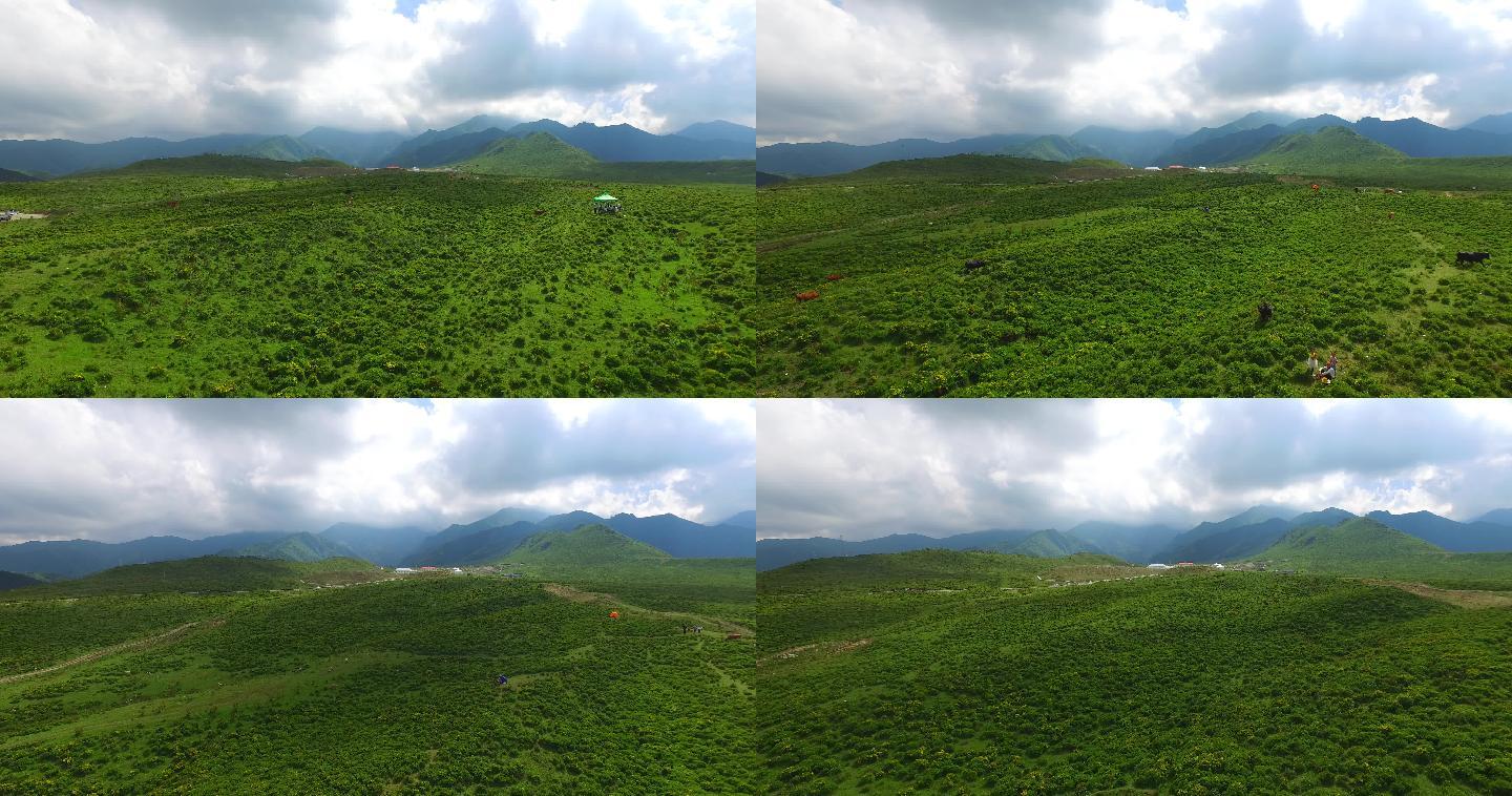 河西走廊甘肃积石山县黄草坪风景