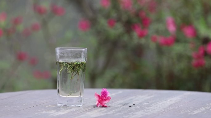 【高清实拍】玻璃杯泡茶原生态唯美镜头