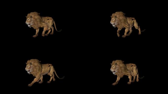 3D狮子带透明通道循环行走素材