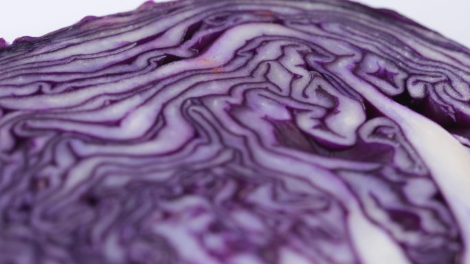 【正版素材】蔬菜紫甘蓝白背景特写竖移