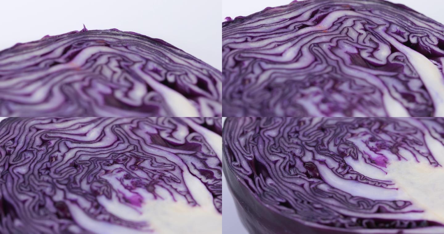 【正版素材】蔬菜紫甘蓝白背景特写竖移