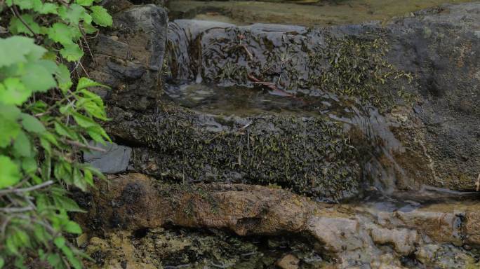 4K山泉水流过山石苔藓一组04