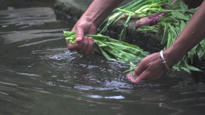 【4k】农民洗菜小河里洗菜农村生活
