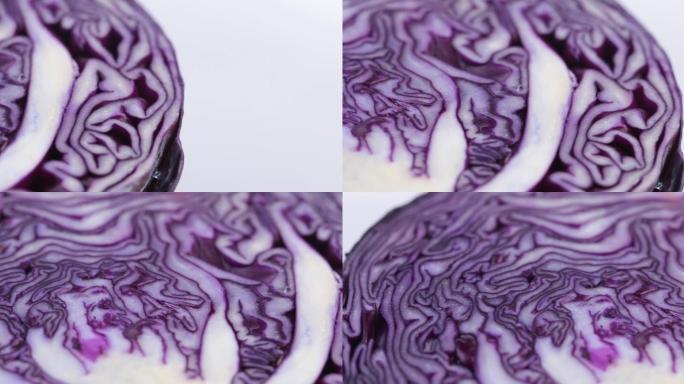 【正版素材】蔬菜紫甘蓝白背景特写横移