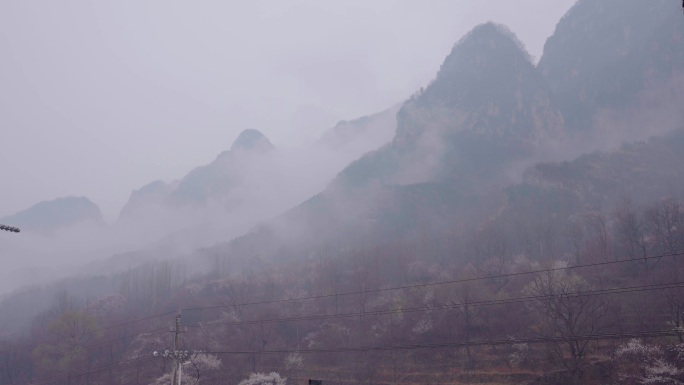 4K空山新雨后山雾雨滴雾气