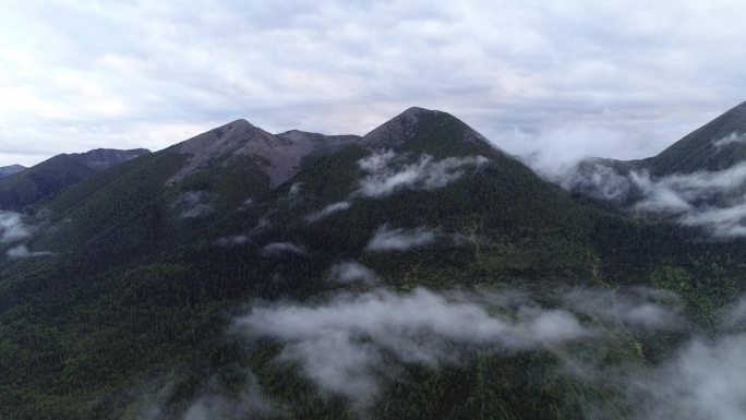 树林雪山素材风景航拍