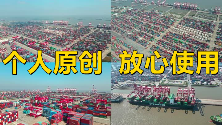 【19元】上海自由贸易试验区物流园区