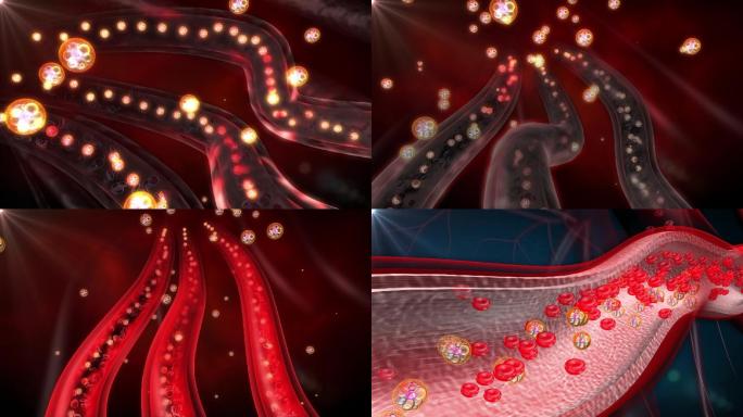 降压分子团使血管软化弹性韧性恢复血压稳降