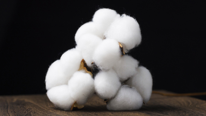 成熟的新疆棉花垛展示