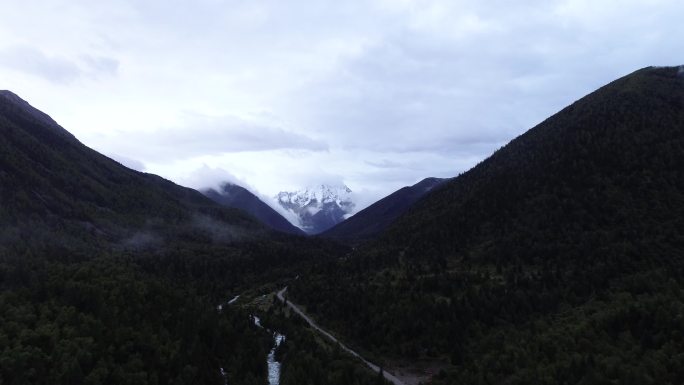 树林雪山素材风景航拍