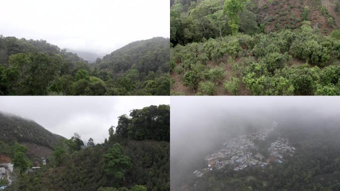 4k江城茶山村庄航拍