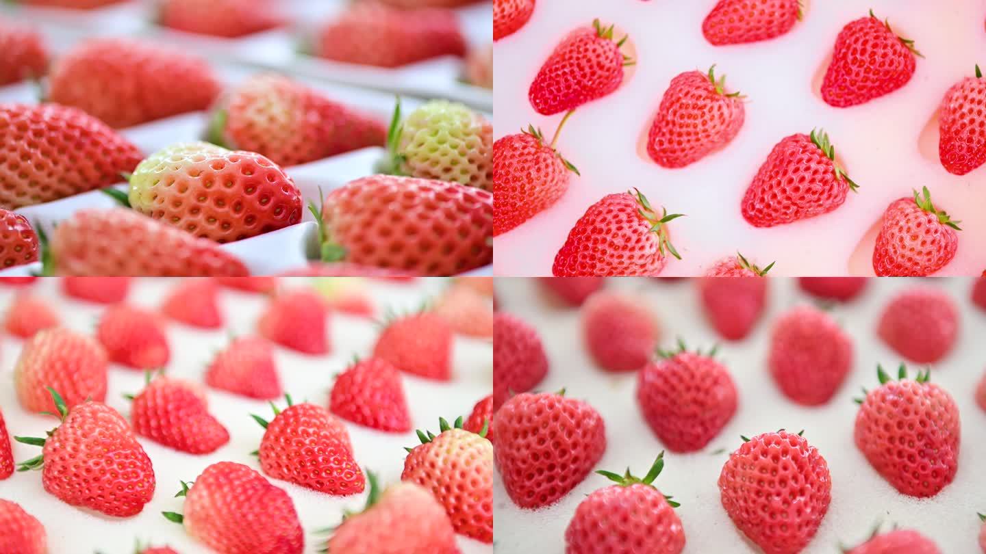 草莓特写素材