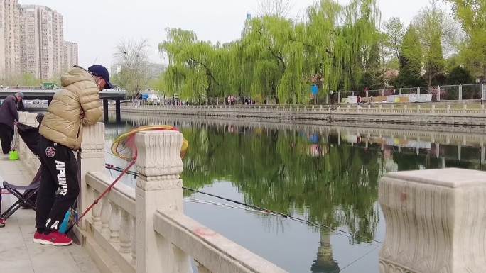 北京昆玉河-八一湖钓鱼