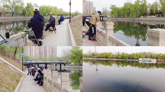 北京昆玉河-八一湖钓鱼