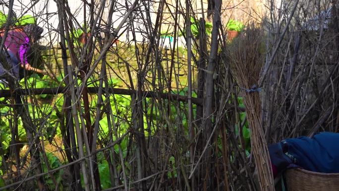 202104湘西古苗寨风光