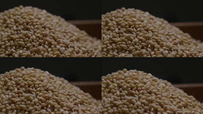 6K小麦粒小麦种子动态特写07