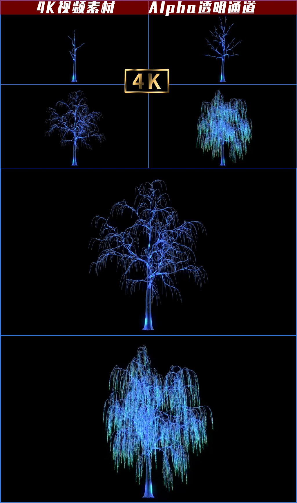 4K全息树生长动画视频素材