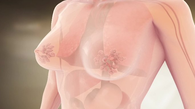 妇科疾病色斑乳腺增生妇科病修复子